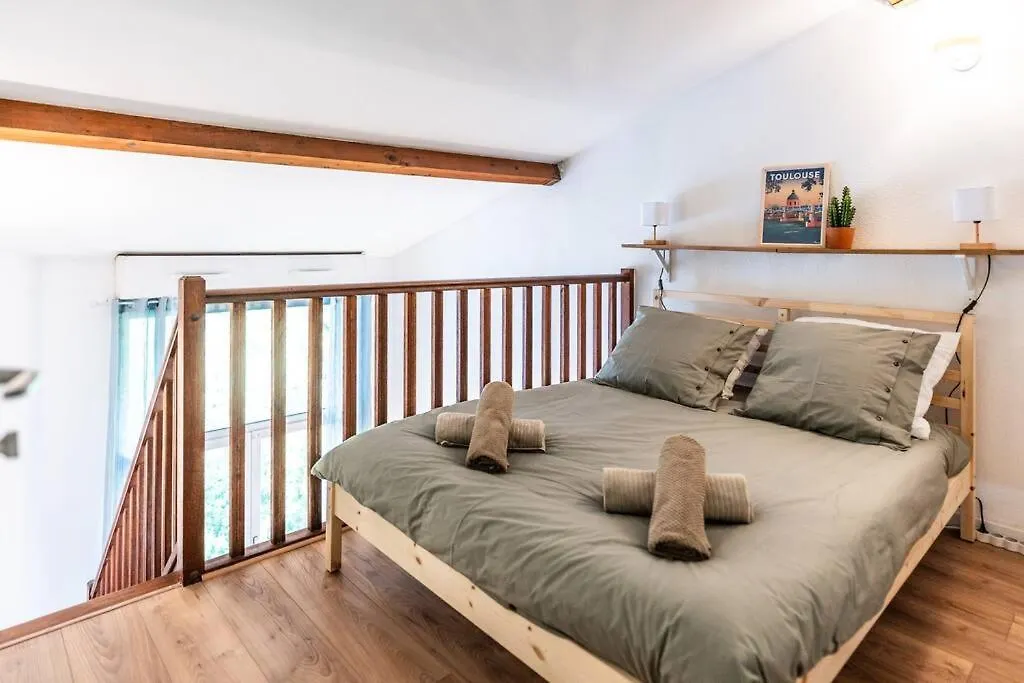 Douce Evasion Apartment Toulouse